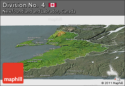 Satellite Panoramic Map of Division No.  4, semi-desaturated