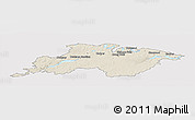 Shaded Relief Panoramic Map of Division No.  6, cropped outside