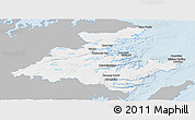 Gray Panoramic Map of Division No.  7, single color outside