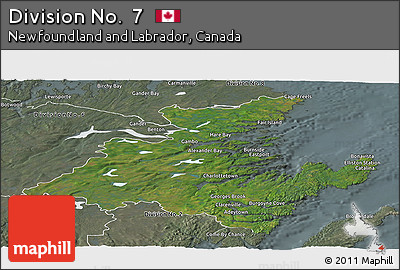 Satellite Panoramic Map of Division No.  7, semi-desaturated