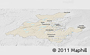 Shaded Relief Panoramic Map of Division No.  7, lighten, desaturated