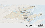 Shaded Relief Panoramic Map of Division No.  7, lighten