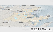 Shaded Relief Panoramic Map of Division No.  7, semi-desaturated