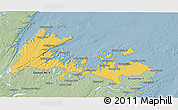 Savanna Style 3D Map of Division No.  8