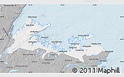 Gray Map of Division No.  8