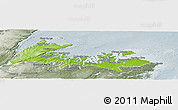 Physical Panoramic Map of Division No.  8, semi-desaturated