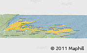 Savanna Style Panoramic Map of Division No.  8