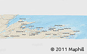 Shaded Relief Panoramic Map of Division No.  8