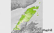 Physical 3D Map of Division No.  9, desaturated