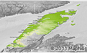 Physical Panoramic Map of Division No.  9, desaturated