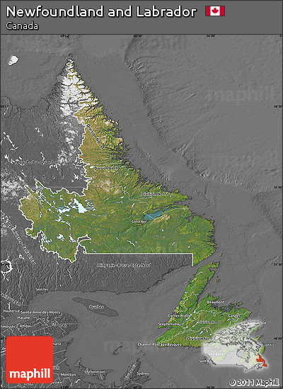Satellite Map of Newfoundland and Labrador, desaturated