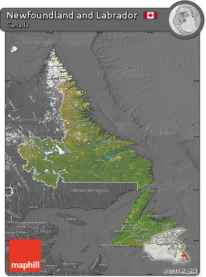 Satellite Map of Newfoundland and Labrador, desaturated