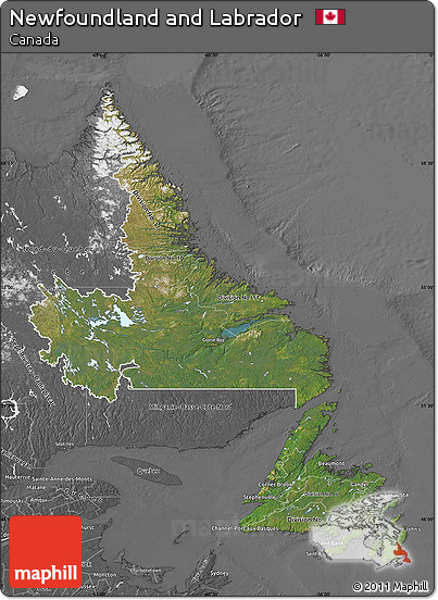 Satellite Map of Newfoundland and Labrador, desaturated