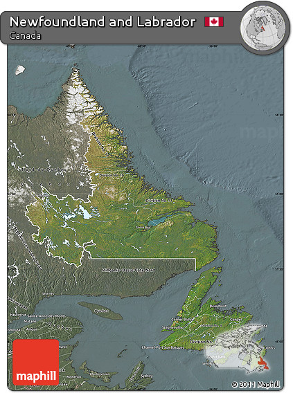 Satellite Map of Newfoundland and Labrador, semi-desaturated