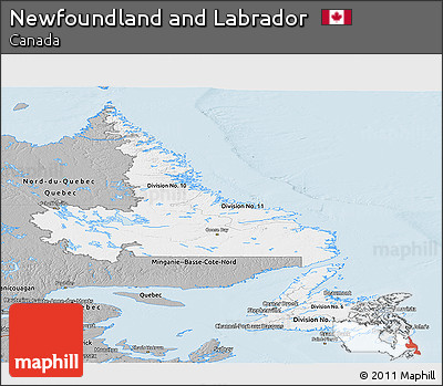 Gray Panoramic Map of Newfoundland and Labrador