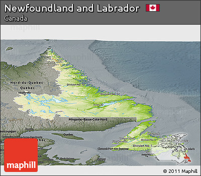 Physical Panoramic Map of Newfoundland and Labrador, darken, semi-desaturated