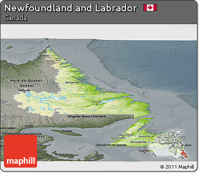 Physical Panoramic Map of Newfoundland and Labrador, darken, semi-desaturated