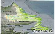 Physical Panoramic Map of Newfoundland and Labrador, darken, semi-desaturated