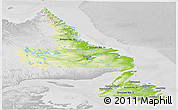 Physical Panoramic Map of Newfoundland and Labrador, lighten, desaturated