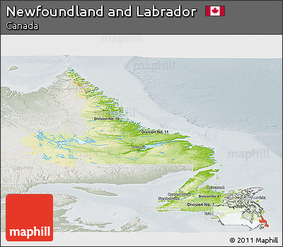 Physical Panoramic Map of Newfoundland and Labrador, lighten, semi-desaturated