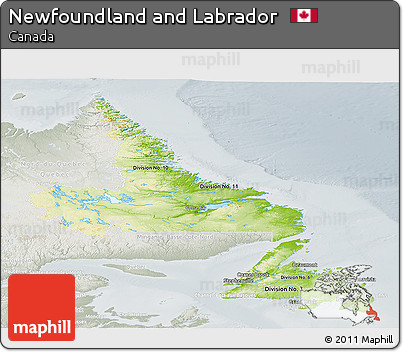 Physical Panoramic Map of Newfoundland and Labrador, lighten, semi-desaturated