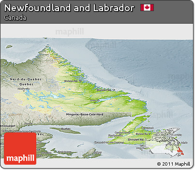 Physical Panoramic Map of Newfoundland and Labrador, semi-desaturated