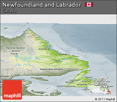 Physical Panoramic Map of Newfoundland and Labrador, semi-desaturated
