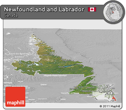 Satellite Panoramic Map of Newfoundland and Labrador, lighten, desaturated