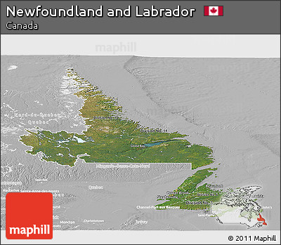 Satellite Panoramic Map of Newfoundland and Labrador, lighten, desaturated