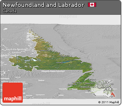 Satellite Panoramic Map of Newfoundland and Labrador, lighten, desaturated