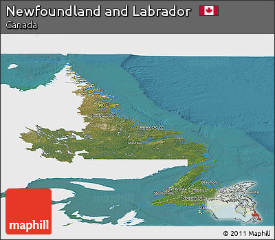 Satellite Panoramic Map of Newfoundland and Labrador, single color outside