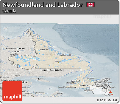Shaded Relief Panoramic Map of Newfoundland and Labrador, semi-desaturated