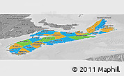 Political Panoramic Map of Nova Scotia, desaturated