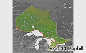 Satellite 3D Map of Ontario, desaturated