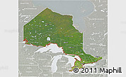 Satellite 3D Map of Ontario, lighten, semi-desaturated