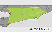 Physical Panoramic Map of Chatham-Kent, desaturated