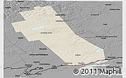 Shaded Relief Panoramic Map of Frontenac, darken, desaturated