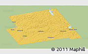 Savanna Style Panoramic Map of Haliburton, single color outside