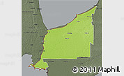 Physical 3D Map of Lambton, darken, semi-desaturated