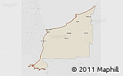 Shaded Relief 3D Map of Lambton, lighten, desaturated