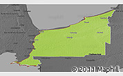 Physical Panoramic Map of Lambton, darken, desaturated