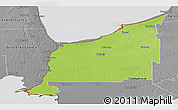 Physical Panoramic Map of Lambton, desaturated