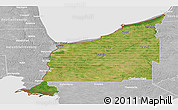 Satellite Panoramic Map of Lambton, lighten, desaturated