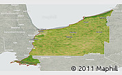 Satellite Panoramic Map of Lambton, lighten, semi-desaturated