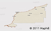 Shaded Relief Panoramic Map of Lambton, cropped outside