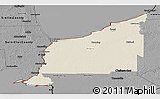 Shaded Relief Panoramic Map of Lambton, darken, desaturated