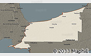 Shaded Relief Panoramic Map of Lambton, darken
