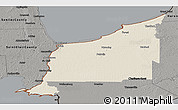 Shaded Relief Panoramic Map of Lambton, darken, semi-desaturated
