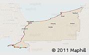 Shaded Relief Panoramic Map of Lambton, lighten