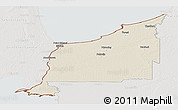 Shaded Relief Panoramic Map of Lambton, lighten, semi-desaturated